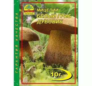 Міцелій Білий гриб дубовик, 10 г