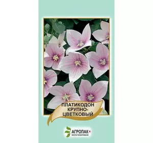 Платикодон великоквітковий, рожевий 50 шт, Агропакгруп