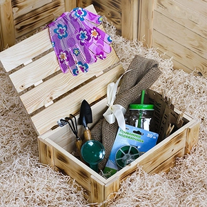 Аксесуари Аксесуари