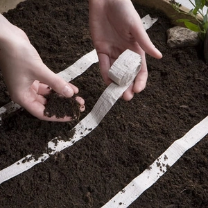 Насіння на стрічці Насіння на стрічці