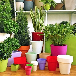 Горщики і кашпо для квітів Горщики і кашпо для квітів