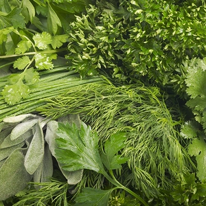 Пряні і зелені культури Пряні і зелені культури