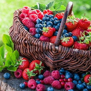 Ягідні культури Ягідні культури