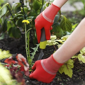 Рукавиці садові Рукавиці садові