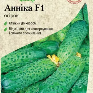 Огірок Огірок