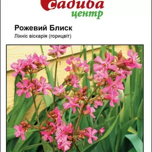 Багаторічні Багаторічні