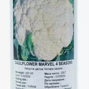 Капуста кольорова Капуста кольорова