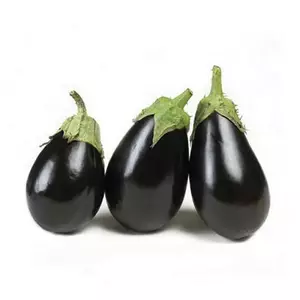 Баклажан Баклажан