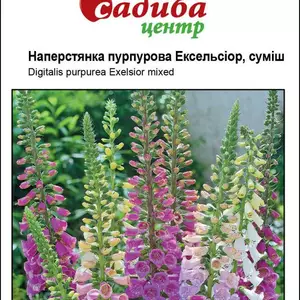 Дворічні Дворічні